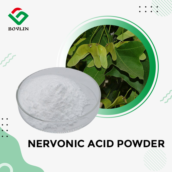 Nervonic Acid Powder Nervonic Acid Powder